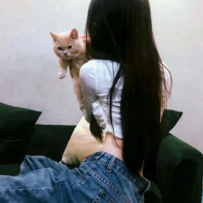 寻找法蒂玛